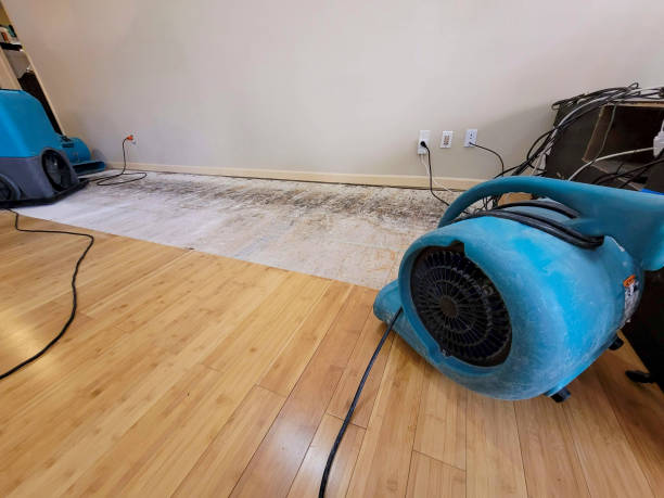Professional Structural Drying technician working in Lynn Haven, FL